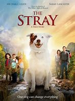 2019 The Stray